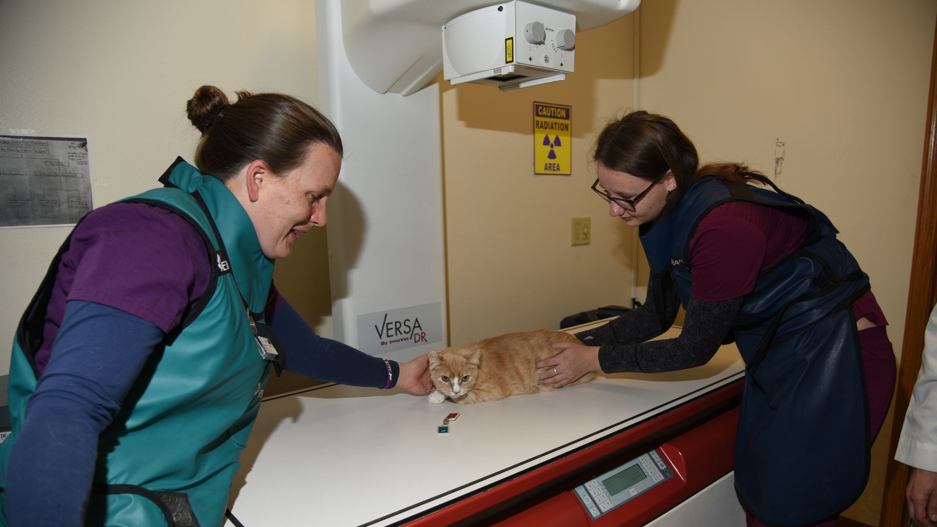 Emergency Country View Veterinary Services Of Oregon