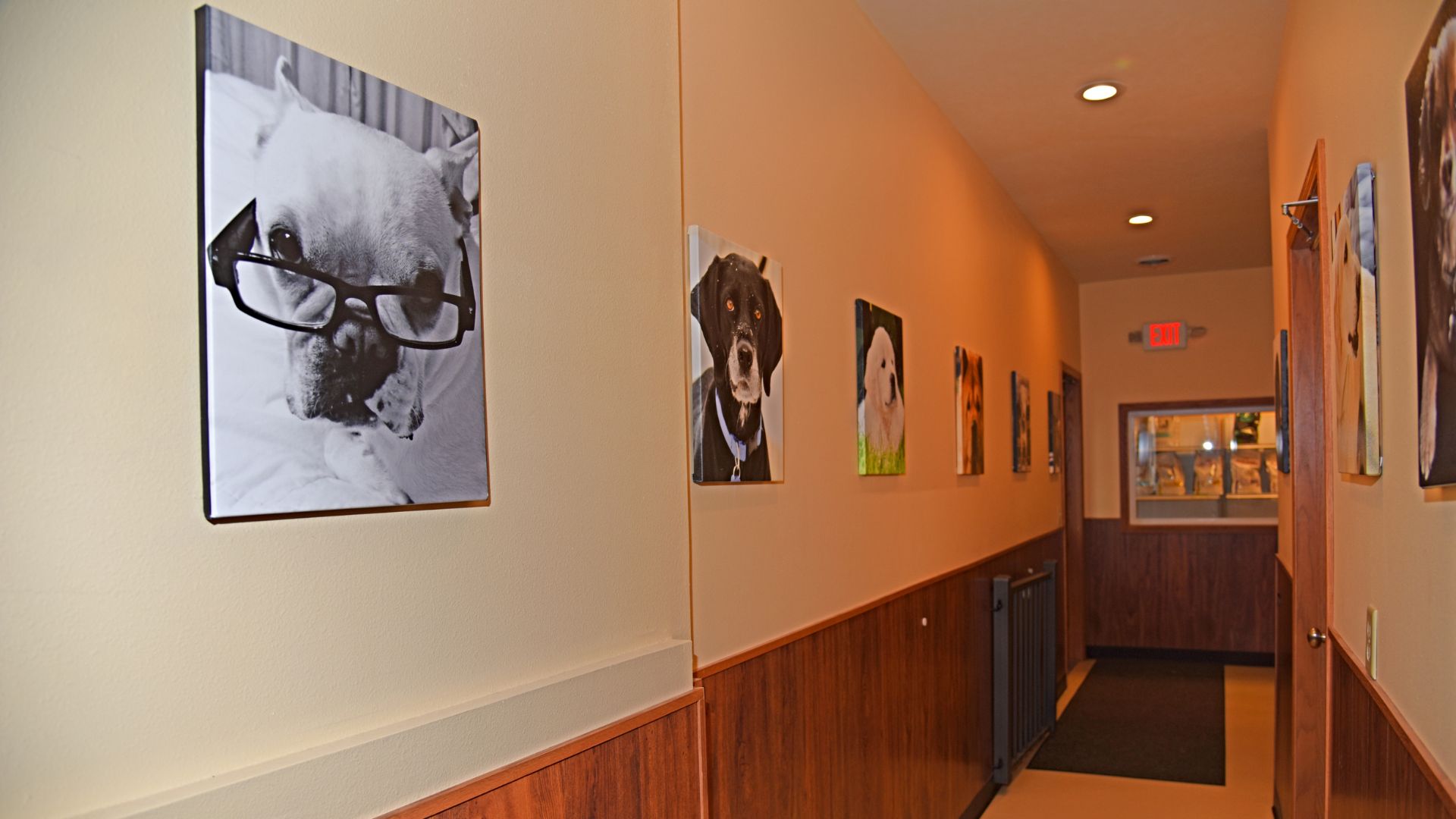 Country View Veterinary Services Of Oregon Gallery Vet Clinic In Oregon, WI 53575