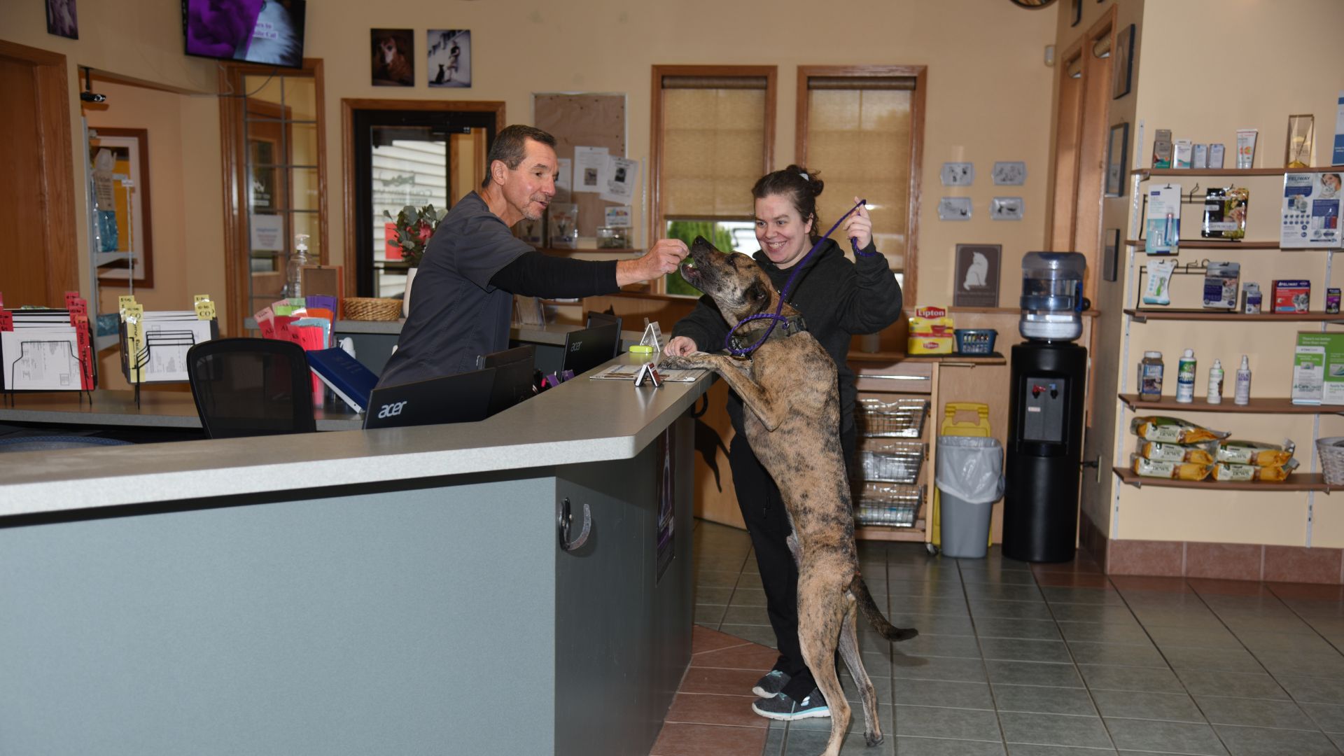 Veterinarian In Oregon, WI 53575 Country View Veterinary Services Of