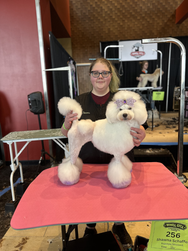 A groomer with a groomed white dog