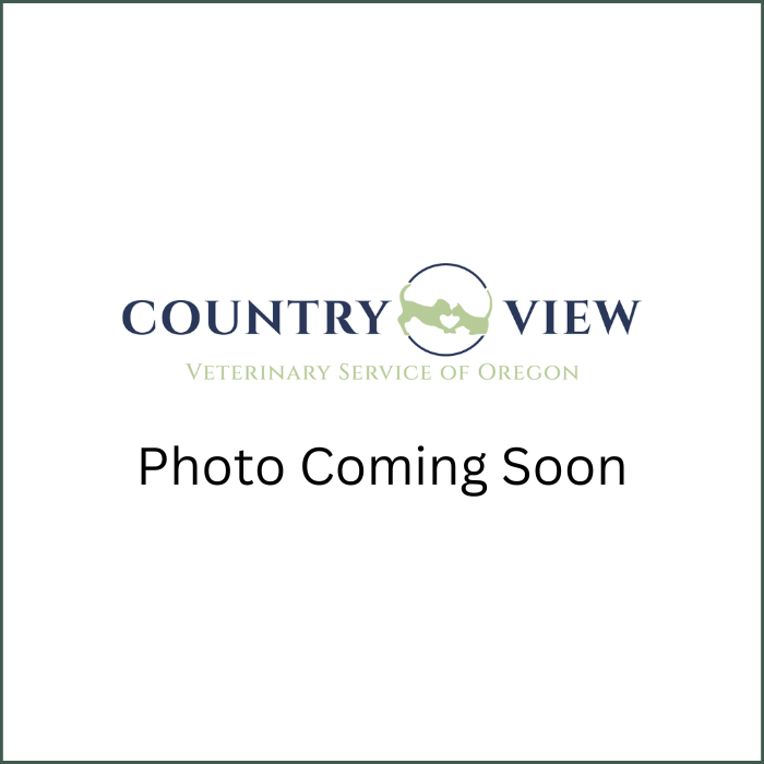 coming soon placeholder